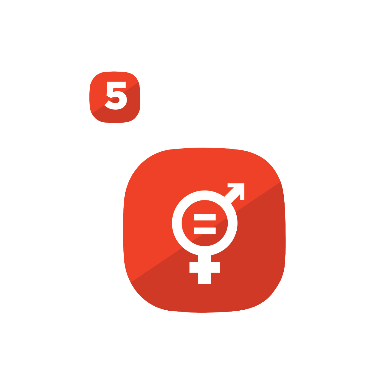 SDG 5